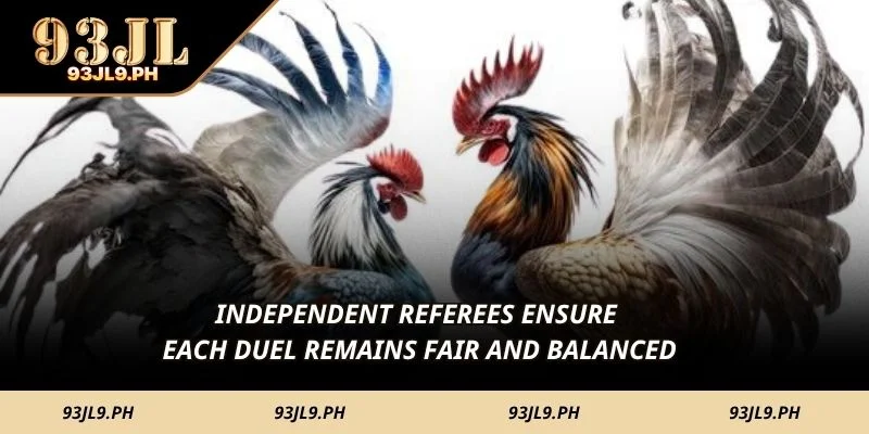 Independent referees ensure each duel remains fair and balanced