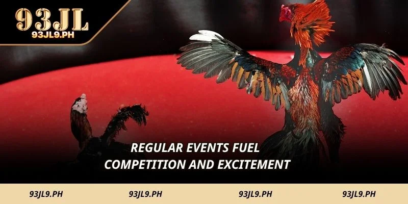 Regular events fuel competition and excitement