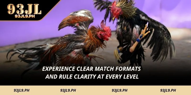 Experience clear match formats and rule clarity at every level