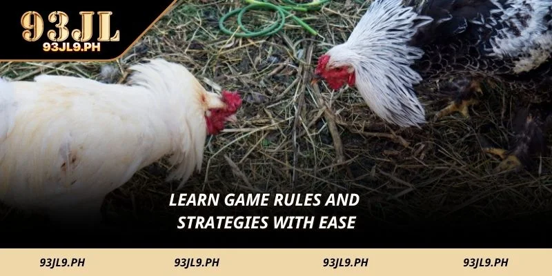 Learn game rules and strategies with ease